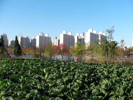 AL-bucheon