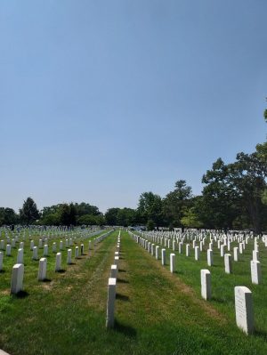 MN-arlington
