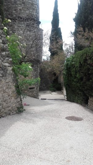 VF-rousset